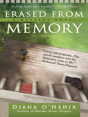 Erased From Memory - ebook